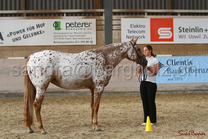 24-ApHC HIH_002.jpg